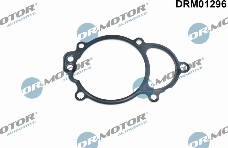 Dr.Motor Automotive DRM01296 - Seal, camshaft adjustment onlydrive.pro