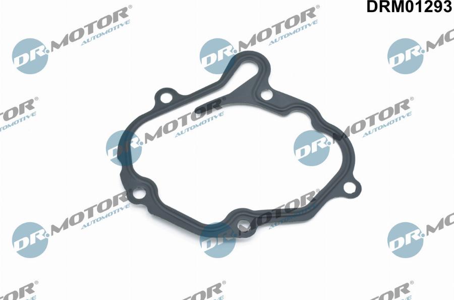 Dr.Motor Automotive DRM01293 - Gasket, vacuum pump onlydrive.pro