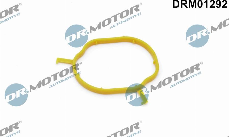 Dr.Motor Automotive DRM01292 - Seal, coolant tube onlydrive.pro