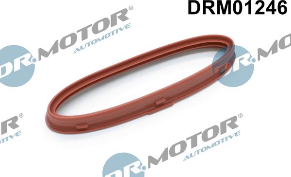 Dr.Motor Automotive DRM01246 - Tiivistelevy, ahdin onlydrive.pro