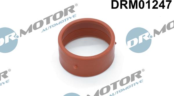 Dr.Motor Automotive DRM01247 - Rõngastihend,õhulaadevoolik onlydrive.pro