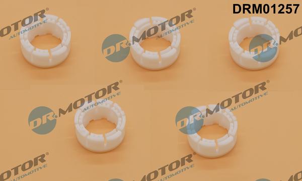 Dr.Motor Automotive DRM01257 - Įvorė, pavarų svirtis onlydrive.pro