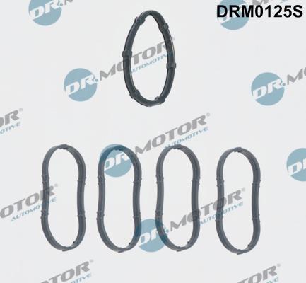 Dr.Motor Automotive DRM0125S - Комплект прокладок, впускной коллектор onlydrive.pro