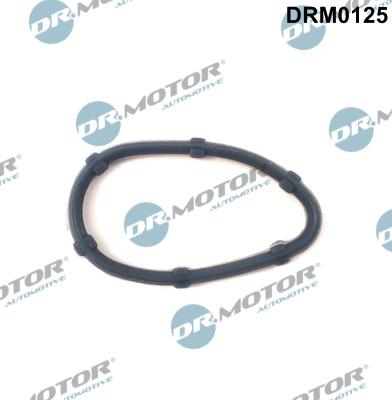 Dr.Motor Automotive DRM0125 - Seal, crankcase breather onlydrive.pro
