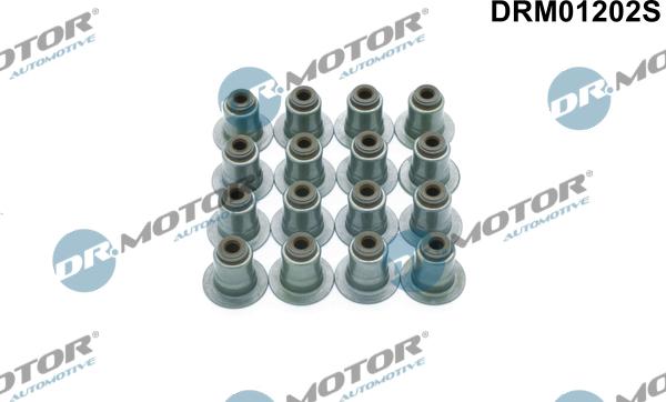 Dr.Motor Automotive DRM01202S - Blīvju komplekts, Vārsta kāts onlydrive.pro