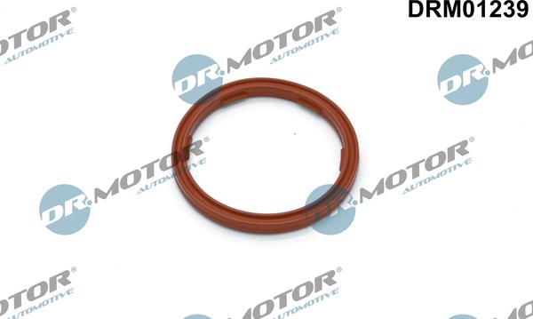 Dr.Motor Automotive DRM01239 - Seal Ring, engine oil level sensor onlydrive.pro