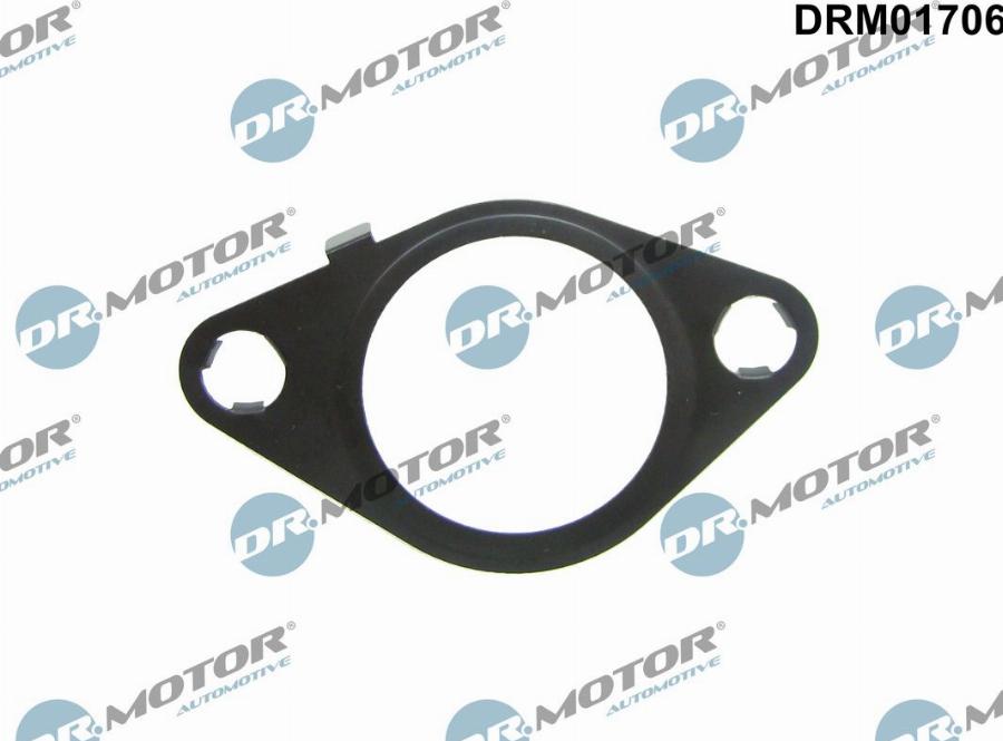 Dr.Motor Automotive DRM01706 - Blīve, Izplūdes gāzu recirkulācijas vārsts onlydrive.pro