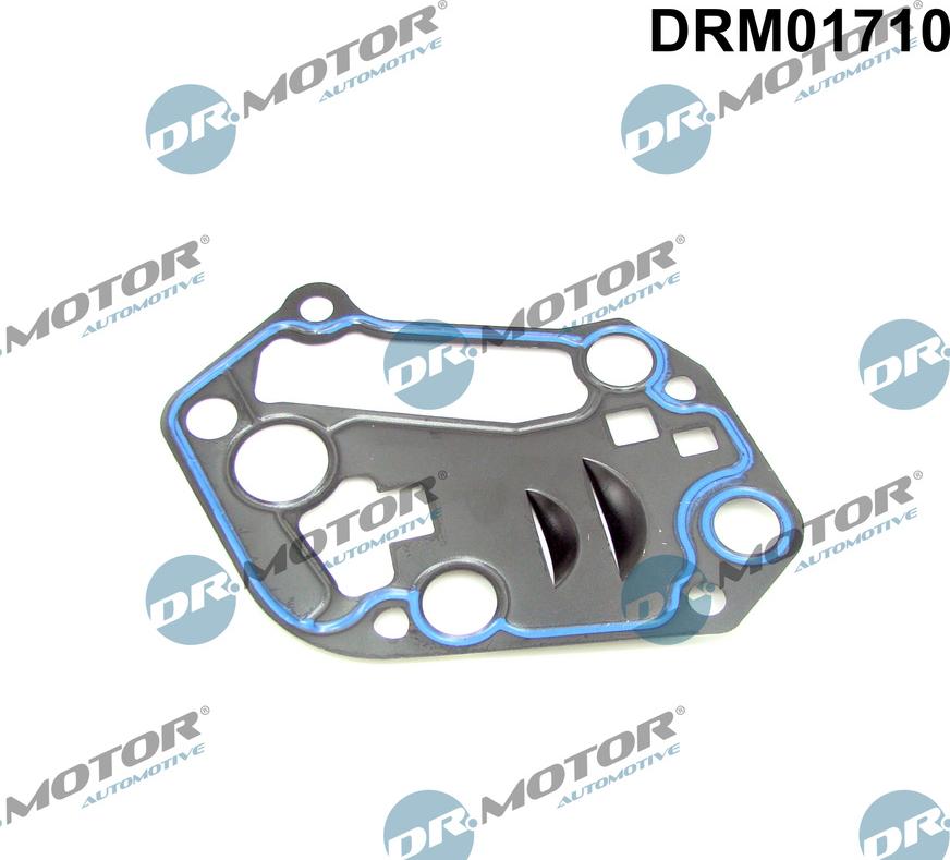 Dr.Motor Automotive DRM01710 - Seal, oil filter housing onlydrive.pro