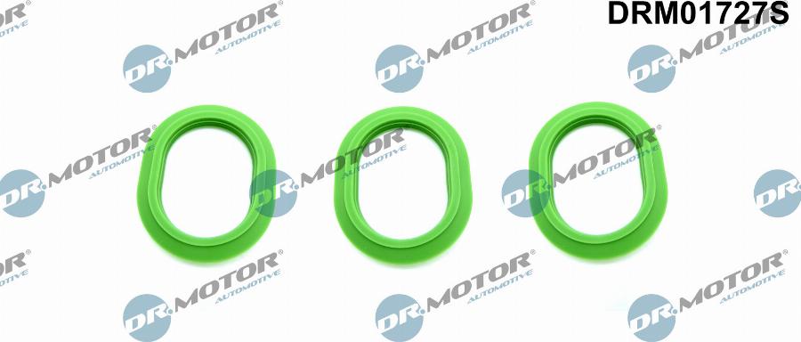 Dr.Motor Automotive DRM01727S - Gasket Set, intake manifold onlydrive.pro