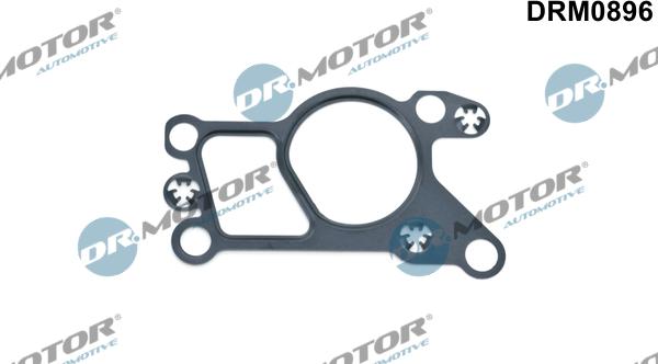 Dr.Motor Automotive DRM0896 - Tihend, EGR-klapp onlydrive.pro