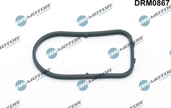 Dr.Motor Automotive DRM0867 - Gasket, vacuum pump onlydrive.pro