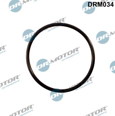 Dr.Motor Automotive DRM034 - Tihend, EGR-klapp onlydrive.pro