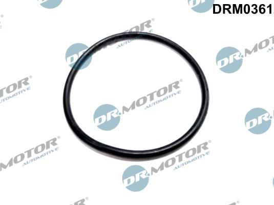 Dr.Motor Automotive DRM0361 - Gasket, vacuum pump onlydrive.pro