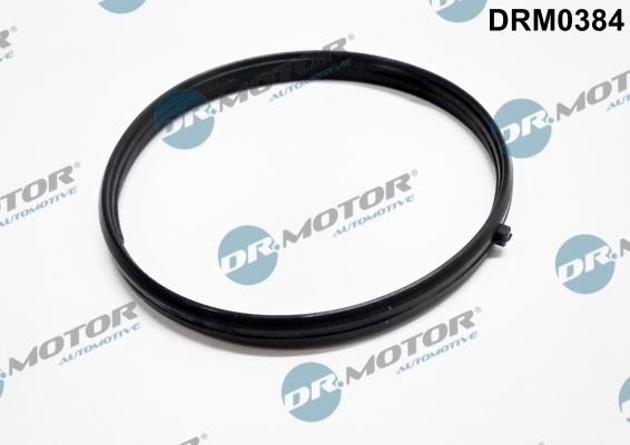 Dr.Motor Automotive DRM0384 - Tihend,sisselaskekollektor onlydrive.pro