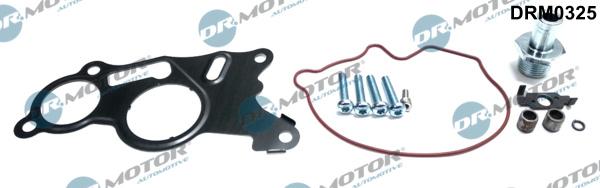 Dr.Motor Automotive DRM0325 - Repair Set, vacuum pump (braking system) onlydrive.pro