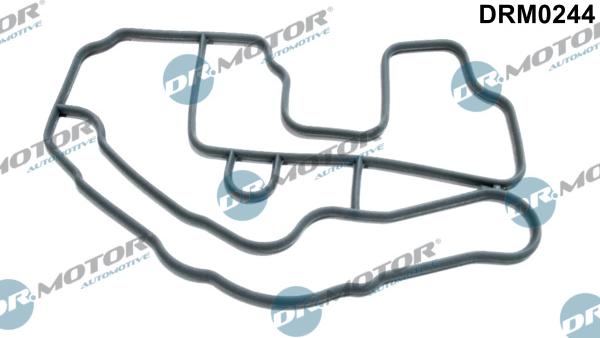 Dr.Motor Automotive DRM0244 - Gasket, thermostat housing onlydrive.pro