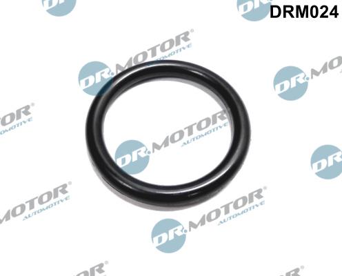 Dr.Motor Automotive DRM024 - Прокладка, фланец охлаждающей жидкости onlydrive.pro