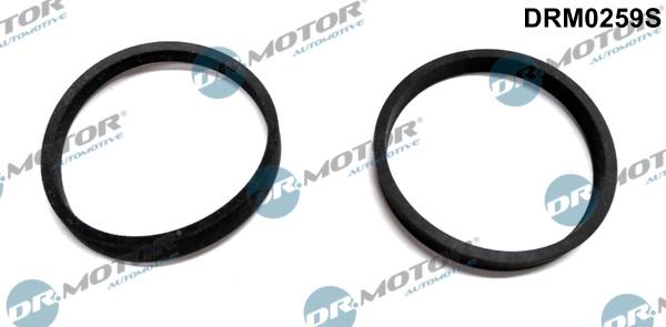 Dr.Motor Automotive DRM0259S - Tihendikomplekt,Sisselaskekollektor onlydrive.pro