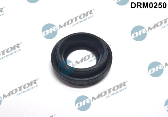 Dr.Motor Automotive DRM0250 - Heat Shield, injection system onlydrive.pro