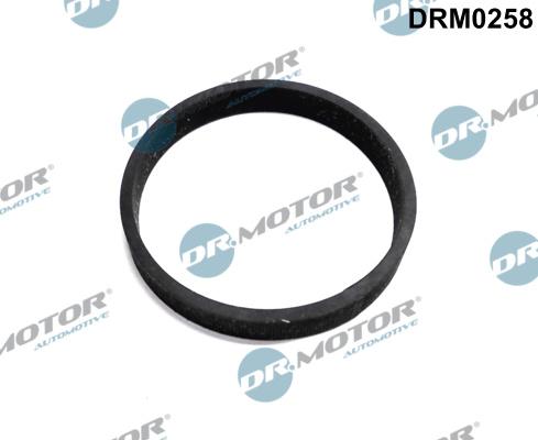 Dr.Motor Automotive DRM0258 - Tihend,turbiinisisselase(kompressor) onlydrive.pro