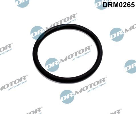 Dr.Motor Automotive DRM0265 - Tarpiklis, EGR vožtuvo vamzdelis onlydrive.pro