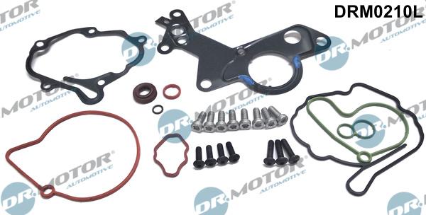 Dr.Motor Automotive DRM0210L - Repair Set, vacuum pump (braking system) onlydrive.pro
