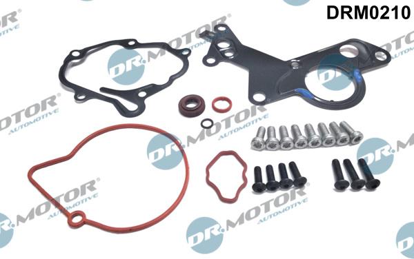 Dr.Motor Automotive DRM0210 - Repair Set, vacuum pump (braking system) onlydrive.pro