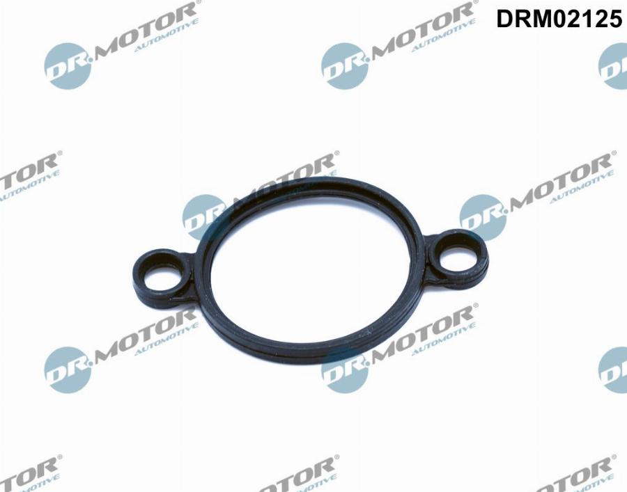 Dr.Motor Automotive DRM02125 - Blīve, Regulēšanas elements (Ekscentriska vārpsta) onlydrive.pro