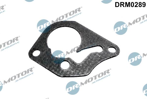 Dr.Motor Automotive DRM0289 - Прокладка, вакуумный насос onlydrive.pro