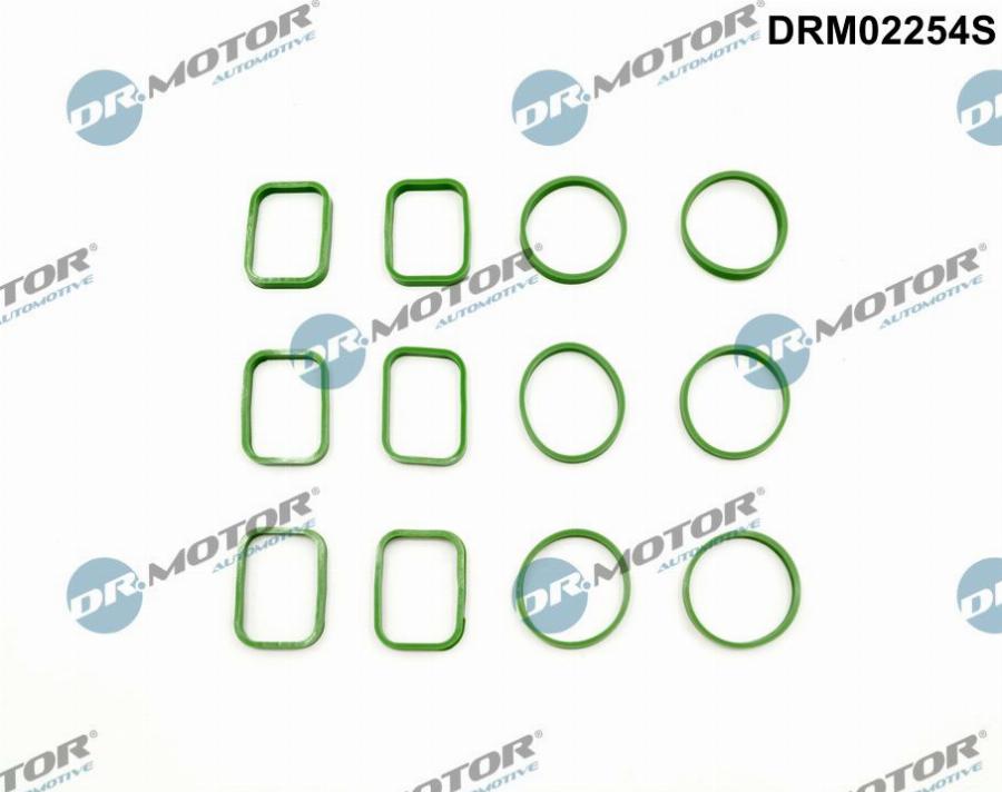 Dr.Motor Automotive DRM02254S - Tarpiklių rinkinys, įsiurbimo kolektorius onlydrive.pro