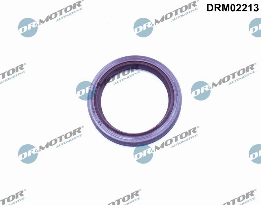 Dr.Motor Automotive DRM02213 - Shaft Seal, camshaft onlydrive.pro