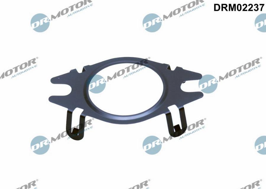 Dr.Motor Automotive DRM02237 - Blīve, EGR vārsta cauruļvads onlydrive.pro