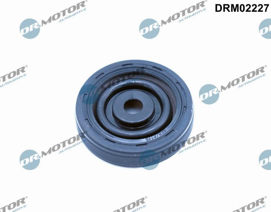 Dr.Motor Automotive DRM02227 - Уплотняющее кольцо, коленчатый вал onlydrive.pro