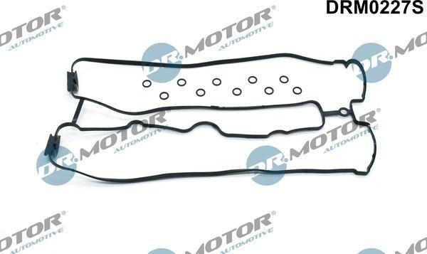 Dr.Motor Automotive DRM0227S - Tiivistesarja, vent. koppa onlydrive.pro