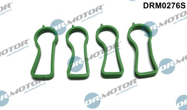 Dr.Motor Automotive DRM0276S - Gasket Set, intake manifold onlydrive.pro