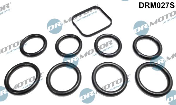 Dr.Motor Automotive DRM027S - Gasket Set, intake manifold onlydrive.pro