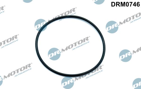 Dr.Motor Automotive DRM0746 - Прокладка, вакуумный насос onlydrive.pro