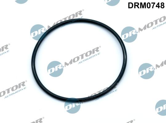 Dr.Motor Automotive DRM0748 - Blīve, Vakuumsūknis onlydrive.pro