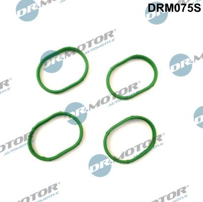 Dr.Motor Automotive DRM075S - Gasket Set, intake manifold onlydrive.pro