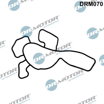 Dr.Motor Automotive DRM070 - Gasket, water pump onlydrive.pro