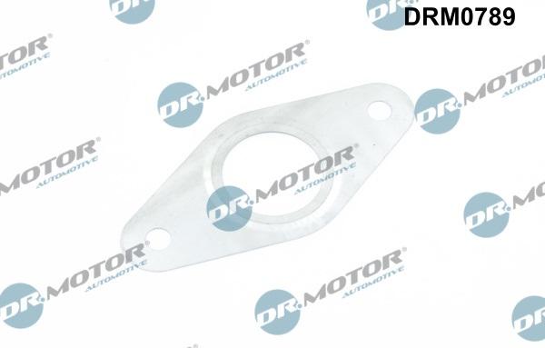 Dr.Motor Automotive DRM0789 - Gasket, EGR valve pipe onlydrive.pro