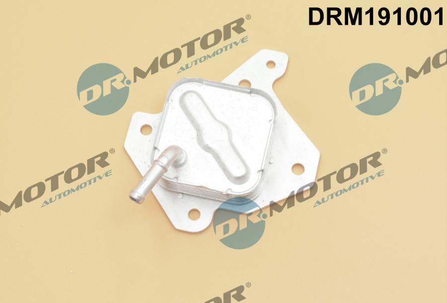 Dr.Motor Automotive DRM191001 - Oil Cooler, engine oil onlydrive.pro