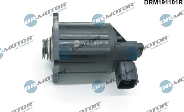 Dr.Motor Automotive DRM191101R - Valve, EGR exhaust control onlydrive.pro