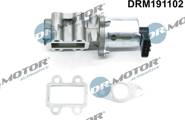 Dr.Motor Automotive DRM191102 - EGR Valve onlydrive.pro