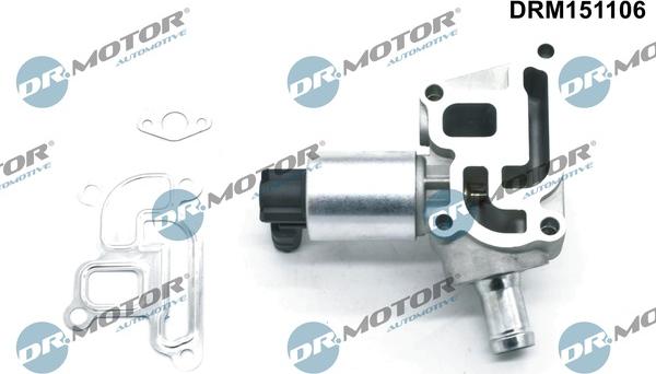 Dr.Motor Automotive DRM151106 - Izpl. gāzu recirkulācijas vārsts onlydrive.pro