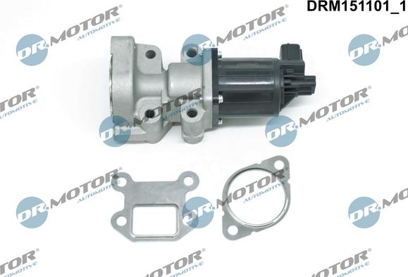 Dr.Motor Automotive DRM151101 - EGR Valve onlydrive.pro