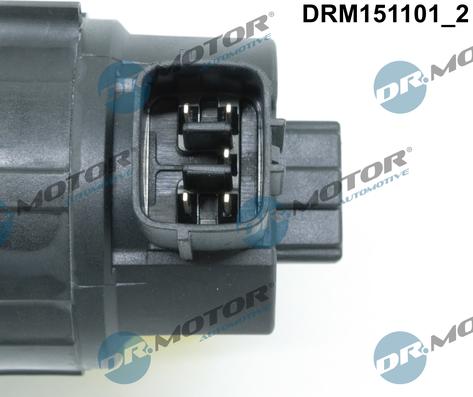 Dr.Motor Automotive DRM151101 - EGR Valve onlydrive.pro