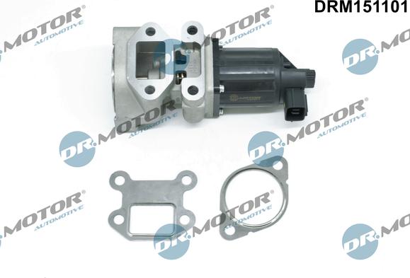 Dr.Motor Automotive DRM151101 - EGR Valve onlydrive.pro