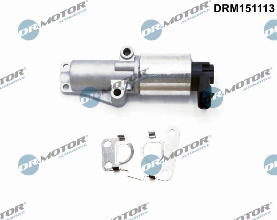 Dr.Motor Automotive DRM151113 - Izpl. gāzu recirkulācijas vārsts onlydrive.pro