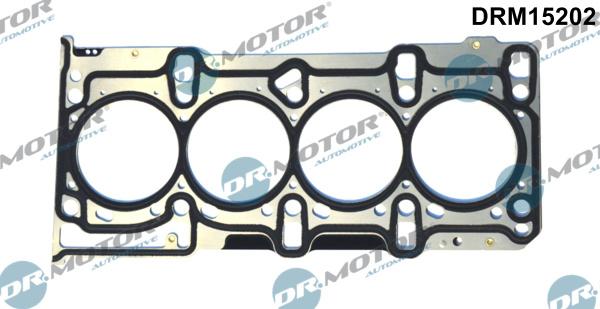 Dr.Motor Automotive DRM15202 - Tihend,silindripea onlydrive.pro